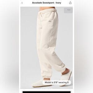 Alo Accolade Jogger NWT